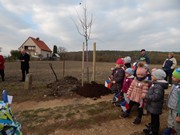 100.výročí vzniku Československé republiky - výsadba stromů Alej republiky na Vlkavě